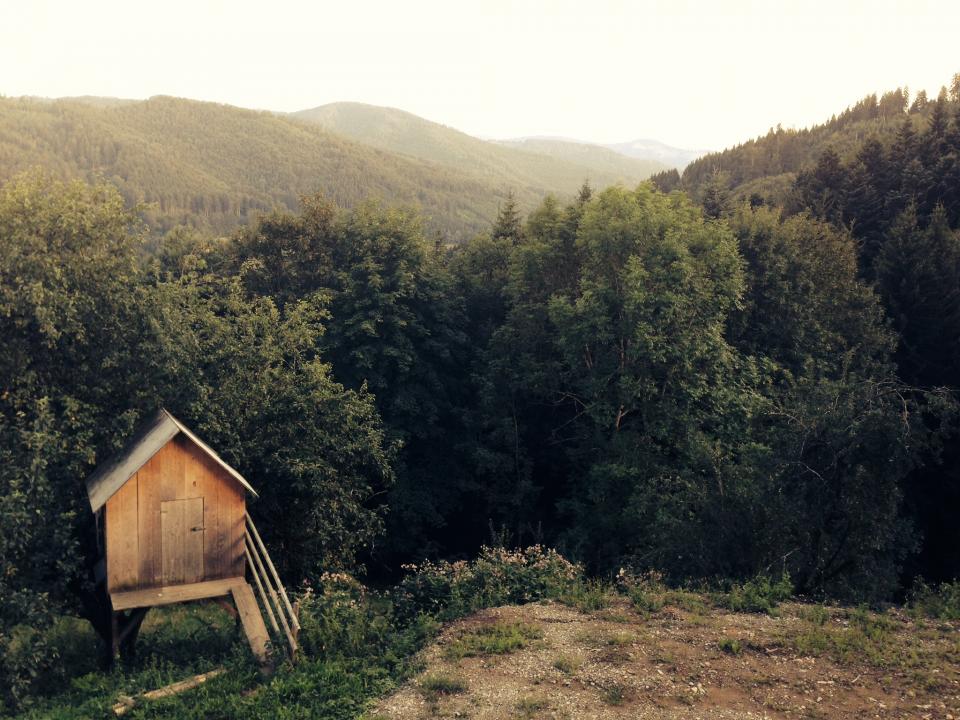 Ex-pastors in a shed