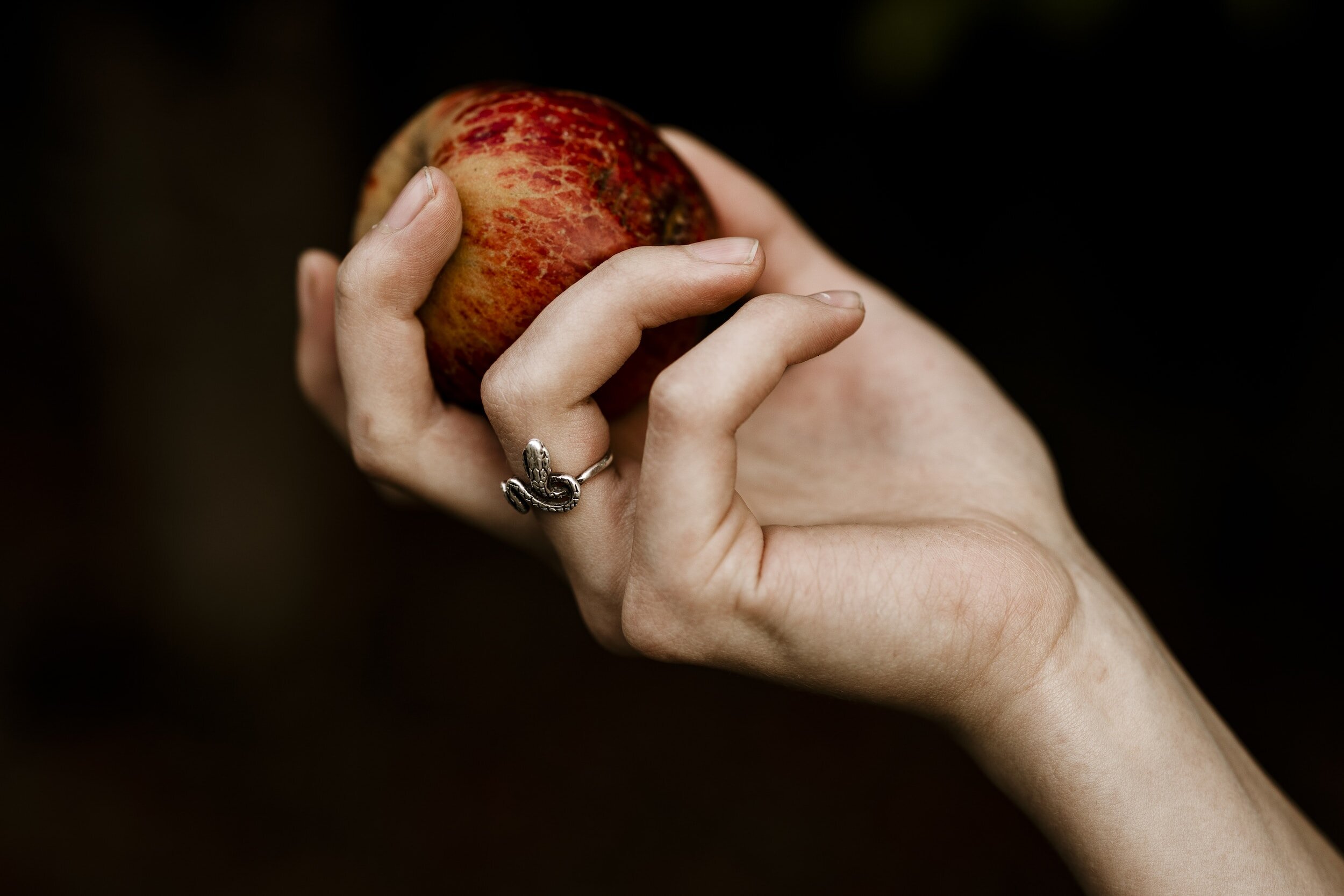 Eve and the Apple – Genesis 3